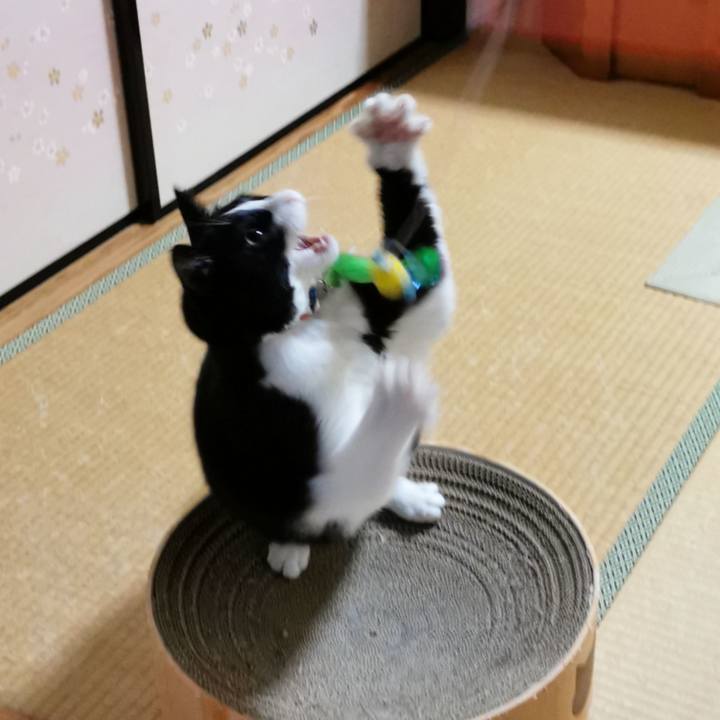 3610673b 1bbe 456e a17f bc32f9edec67 1630033865932