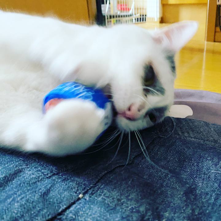 3610834f 8341 40a3 b4ea c82992b15c1c 1589090773142