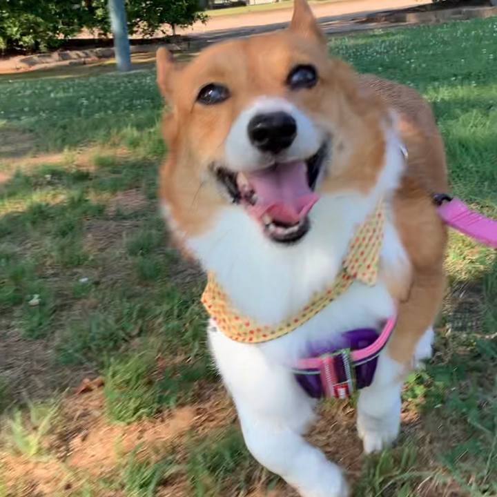 36108f0b cd03 4b2a afc7 cecf58152808 1656632053405