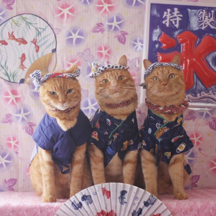 36112c61 a61d 4eb7 a717 27bab0419d07 1720165844471