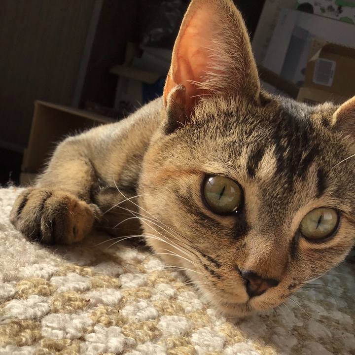 361150c5 be50 4df5 8add d5d346139120 1576465047374