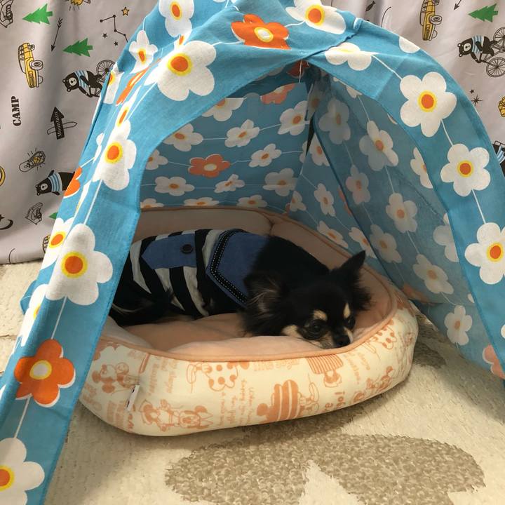 361161d3 3889 4f46 be46 79d47f1b62cc 1564554961021