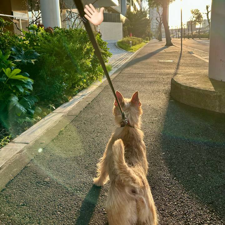 361164fb 1e26 4bce 818b c34e0d7e1d93 1728798616434