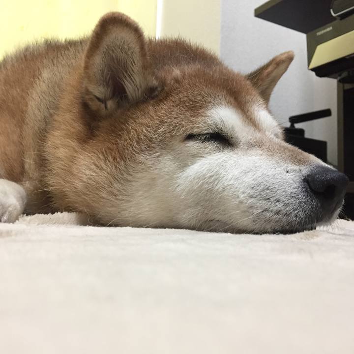 361177a8 2fac 4ca2 a9ac 747f56979b5d 1536998272281