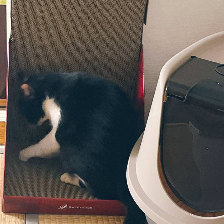 36119a69 d6ab 46d6 8c3a 77bd94e2e88d 1660735380733