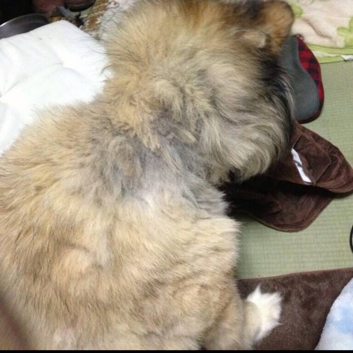 3611ffbd 2f84 4049 ae19 737dfc76708d 1604526899906