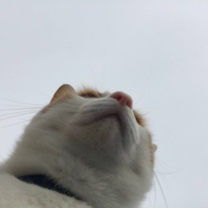 3612521d 0e6d 478d 8ab0 55b74434b081 1512357055334