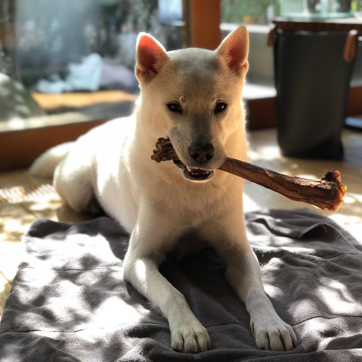 361262f8 6a87 4d26 88b4 31be28d6b2ff 1603594948847