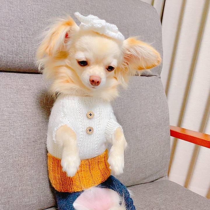 36127209 282e 454d b4d3 cf2e0c7b90d8 1635602388030