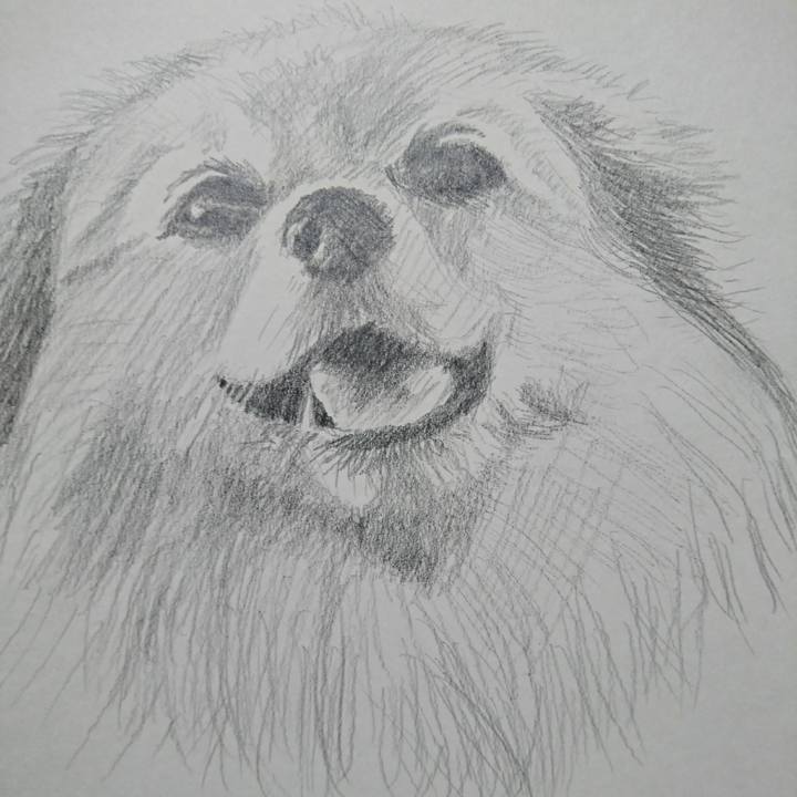 36128b26 2dfc 44eb bd3e 7b4832514ff8 1516178331630