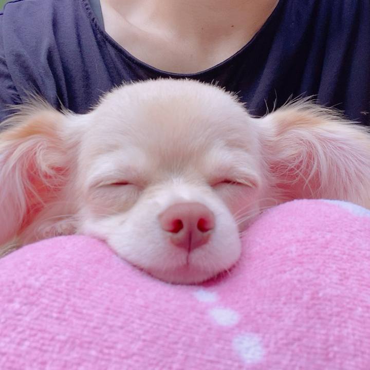 36128d79 210c 4342 b9de cb37899a0012 1596957042334