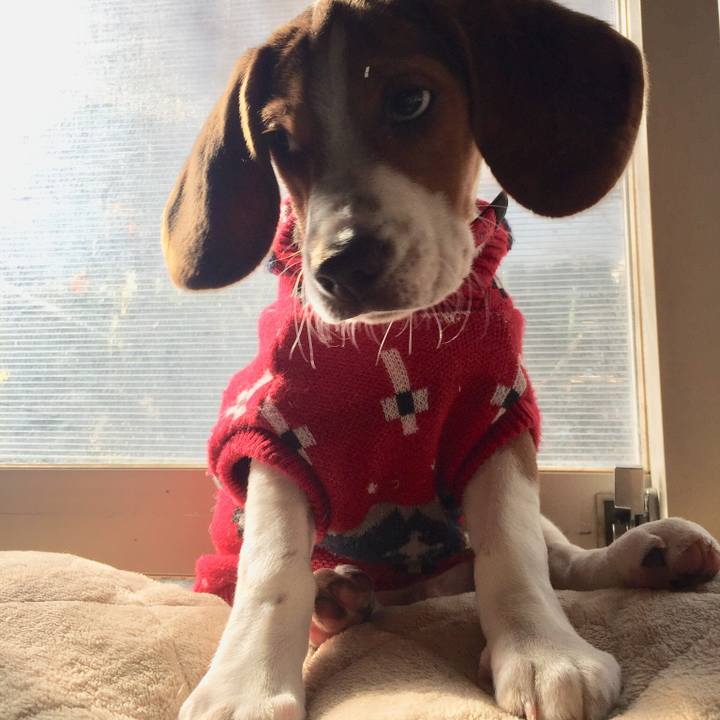 3612c991 3c96 47c3 b106 c160ba23e0e8 1515631126027