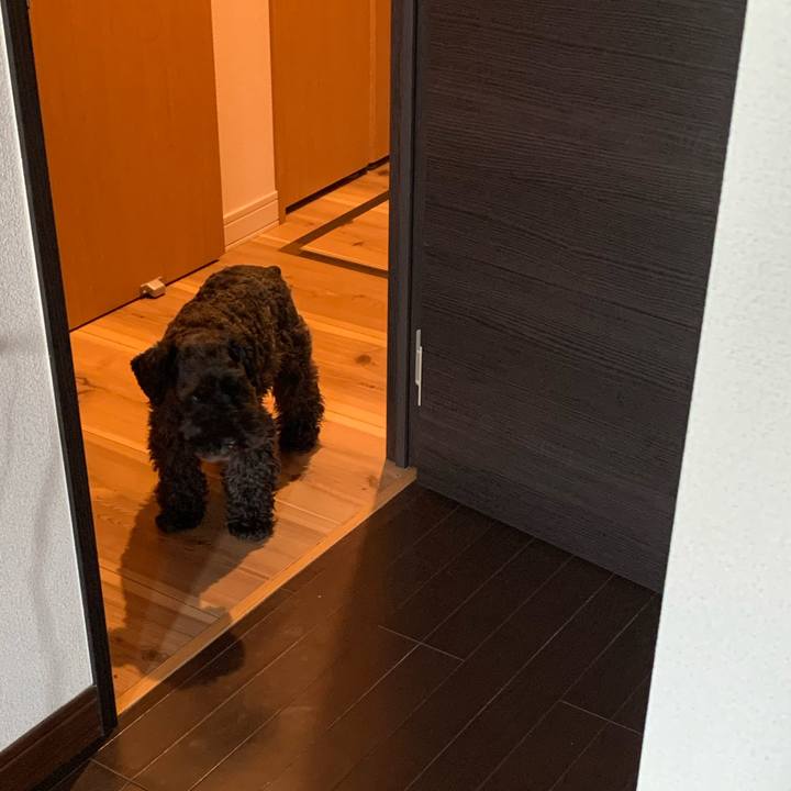 3613035e 9c73 44d0 81ff af19d4ff5f50 1629874909454