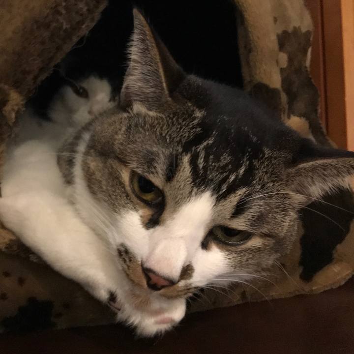 36131c5d 5f5b 46a9 b28d da879fc447ca 1508934809152