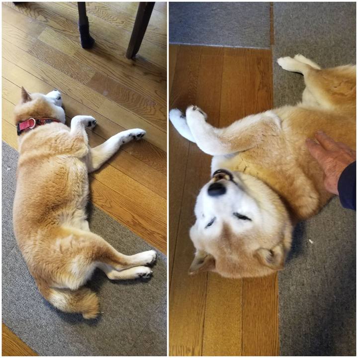 36131d2d ccdc 4b6b adbe f265c32c93e5 1748992429658