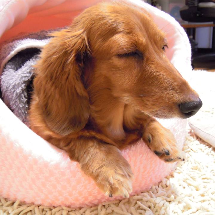 36133724 542e 4f67 b8ab 24f6f63f31d9 1535908836424