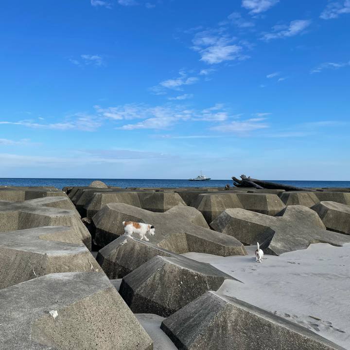 36135624 39e7 4010 9e78 f3fe89924923 1632871989392