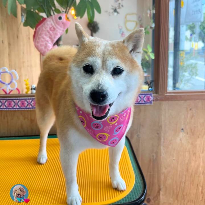 361357a5 8faf 4199 8281 d154e9fa6df0 1773026523821