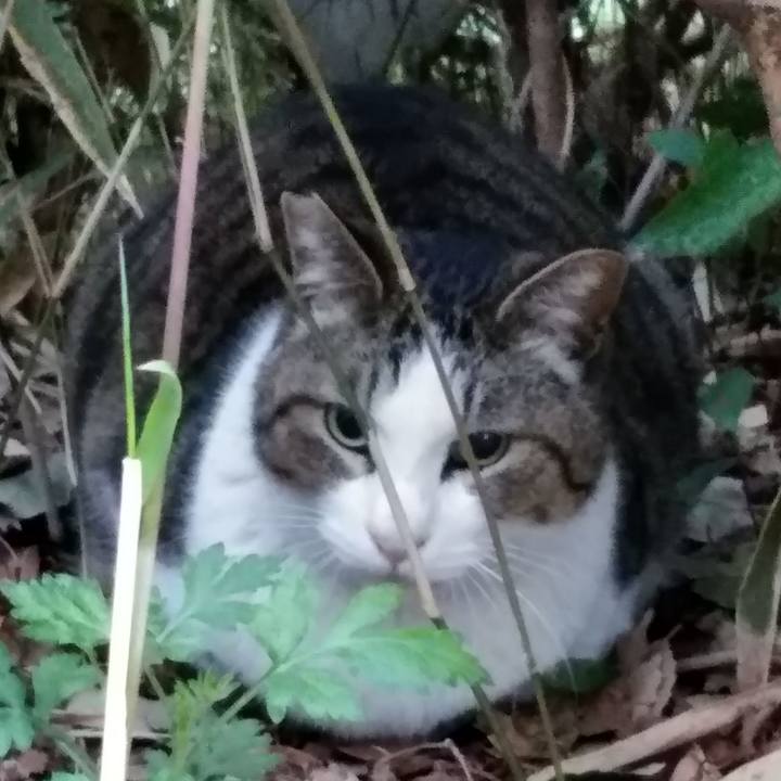 36137b99 cedd 437b a4cf f98afadfa9f1 1555884032351