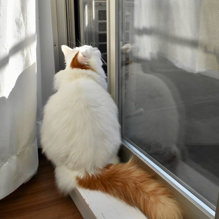 36138ae2 93e9 4e15 bfd7 df8e23d295dc 1768630383565