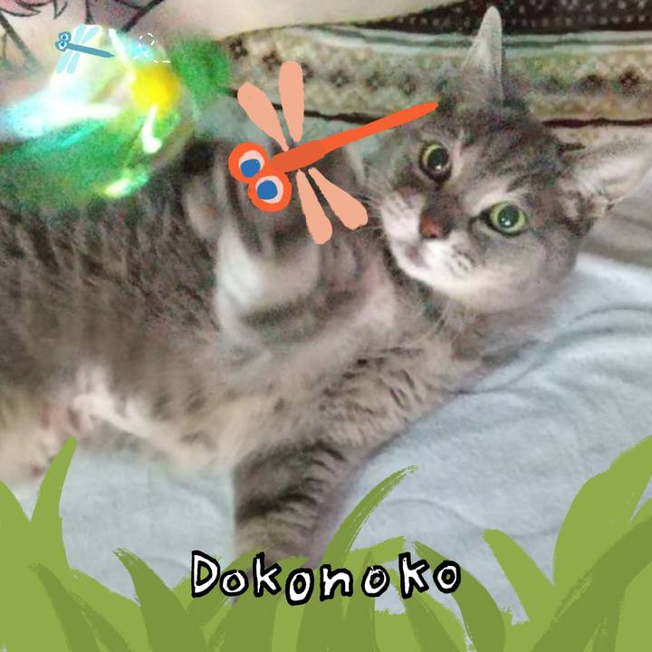 36144e4e 4934 49c7 96ec 72bd187bed77 1726960121917