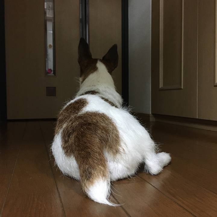 36149aad f44f 4acf a15f d26b3a6012e9 1626305073838