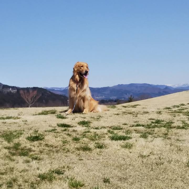 3614a18d 4320 48ca 827f ac0606a1369b 1522468239351