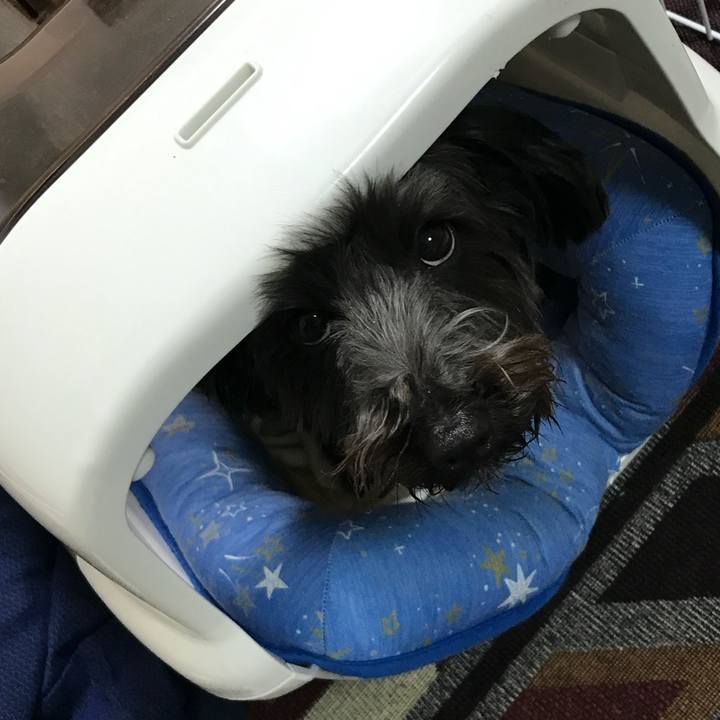 3614be70 7a36 4105 aef3 bd01972b56e3 1770212010462