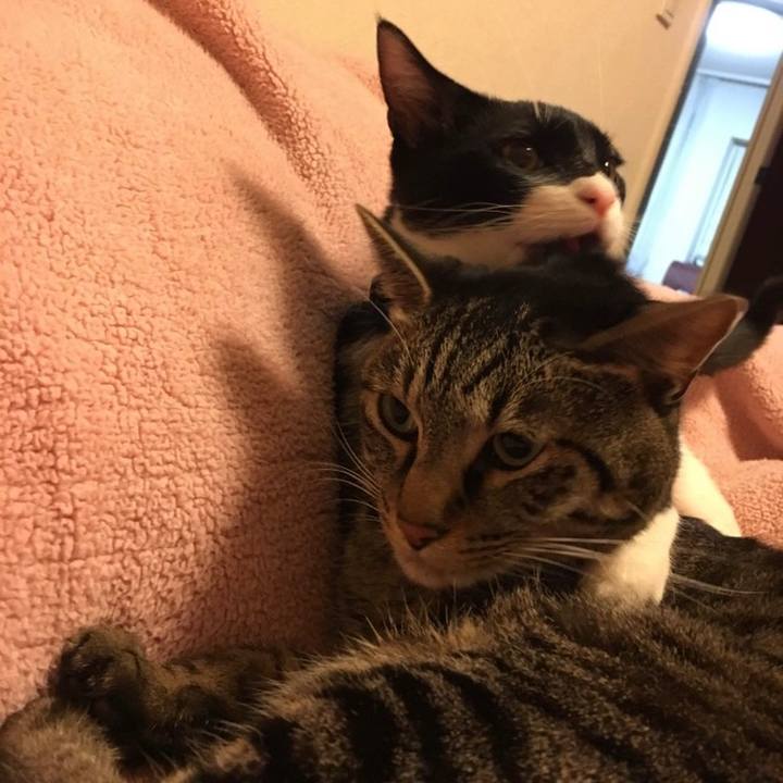 3614c7d9 f912 4e5b bd07 56f3794cca38 1624792840007