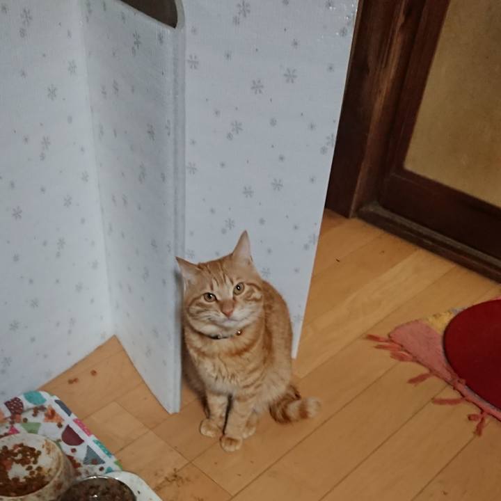 3614e0ac 9b24 4dca 98ec e57116e09ed4 1645438906613