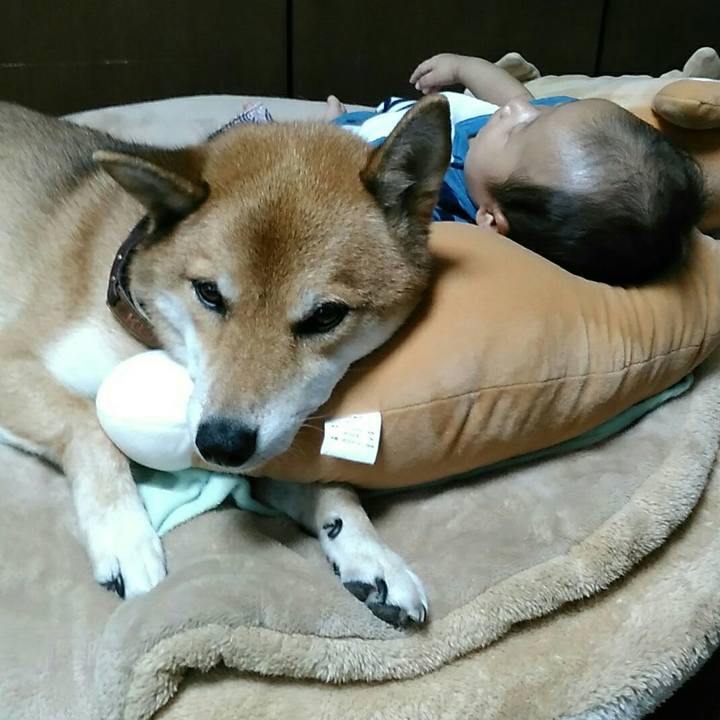 3614fa51 5059 46c4 aae1 38ea6b4ddce6 1536381899933