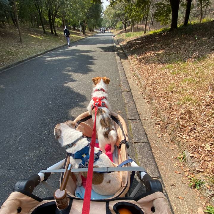 3614ff90 bfa2 4291 871e f33c5797da0d 1647140074340