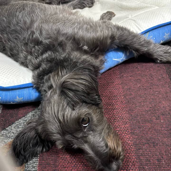 36150e98 385f 4179 a134 1d2758c241a6 1756206405651