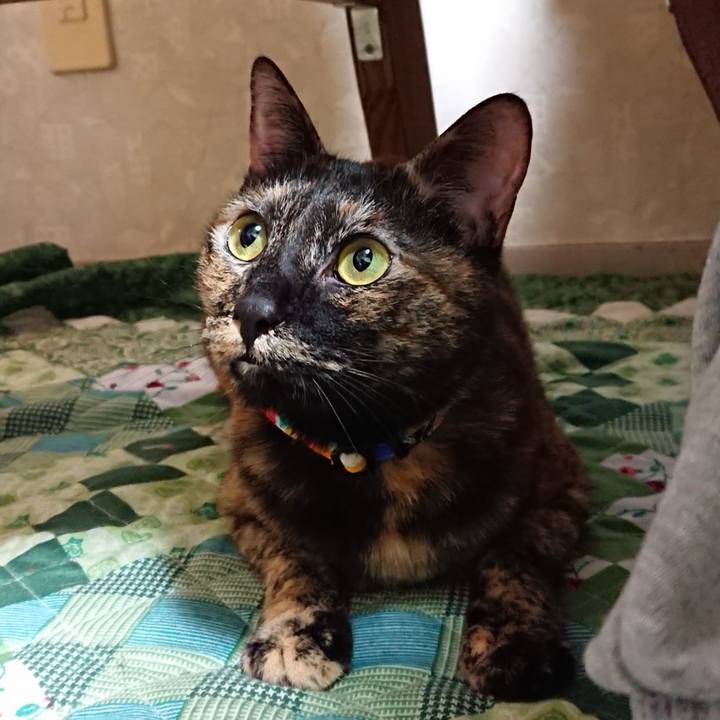 361520c6 d495 41be 8f27 191ae981ea96 1553952770371