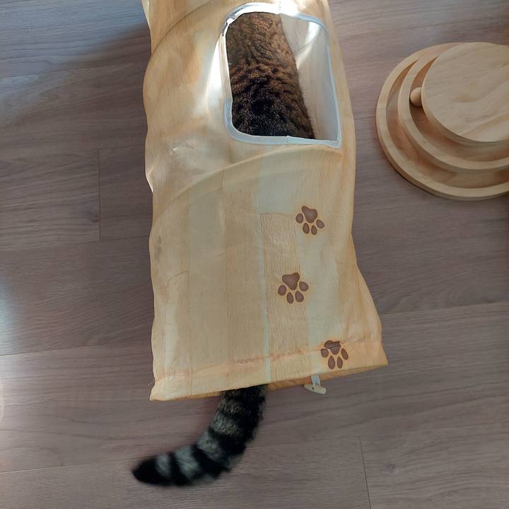 3615394d 22f5 4e82 88ab 0778d76e64fe 1668293466568