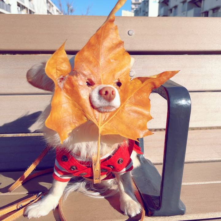 3615728e bed1 480c 902a 9a84da046196 1705039210244