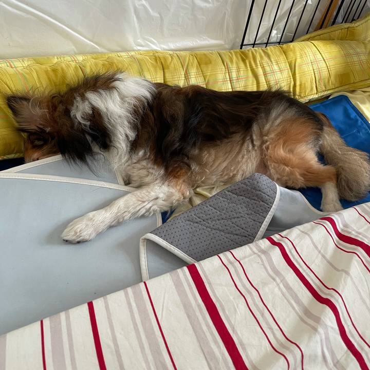 3615ae0c a32b 4e4b a9ce e4b4b2b66f3d 1623824584697