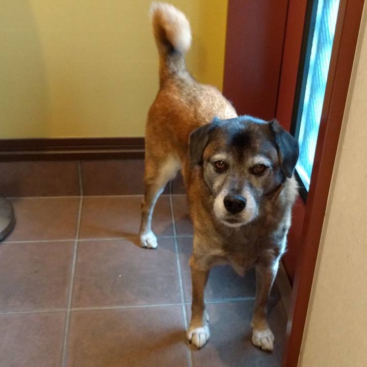 3615bb47 4486 4270 846c 503e8b7b29af 1541893195021