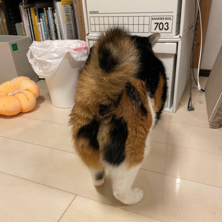 3615bf94 35b6 4e16 8ea9 59f33df03025 1755816449251