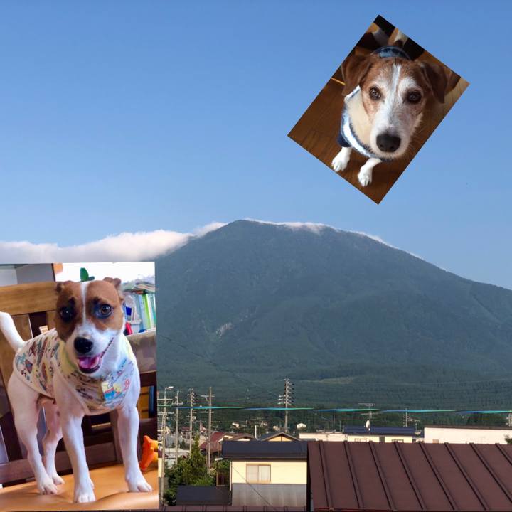 3615cb7d 19a9 4400 a5fb 742c497cb000 1564961145955