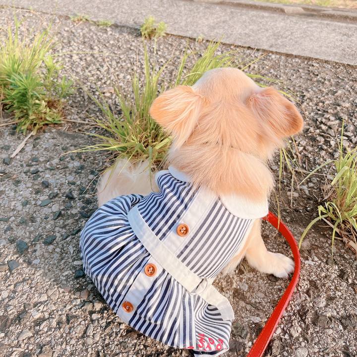 3615d902 1dce 44e7 bc64 69a502fc4a9d 1656069501783