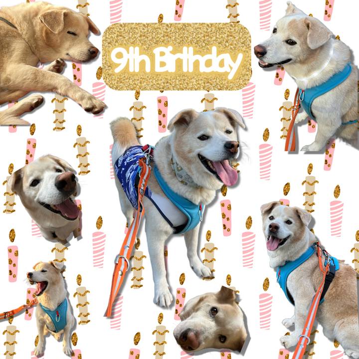 3615df51 47fd 4e1d a066 01bfb5b79643 1698452917354