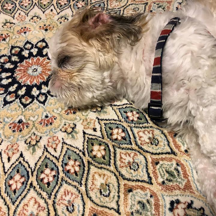 3615e9c7 836f 4ec3 bb34 6c147eb8db56 1526074864038