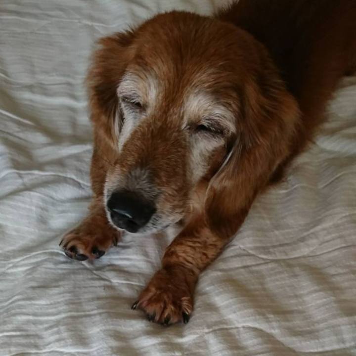 3615fb5a a360 4eae 9b8c 1978fd1c8109 1556558911631