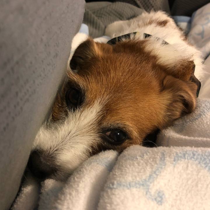 361617c3 13d5 48ba a516 1794b7f02a3f 1587393322058