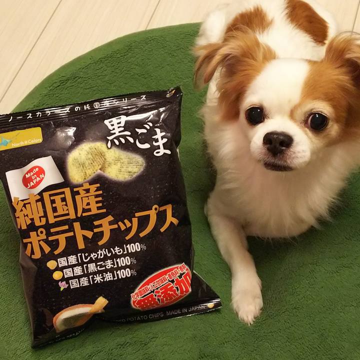 361649e8 091f 4dc5 a97d c5e59b529bbf 1536057378809