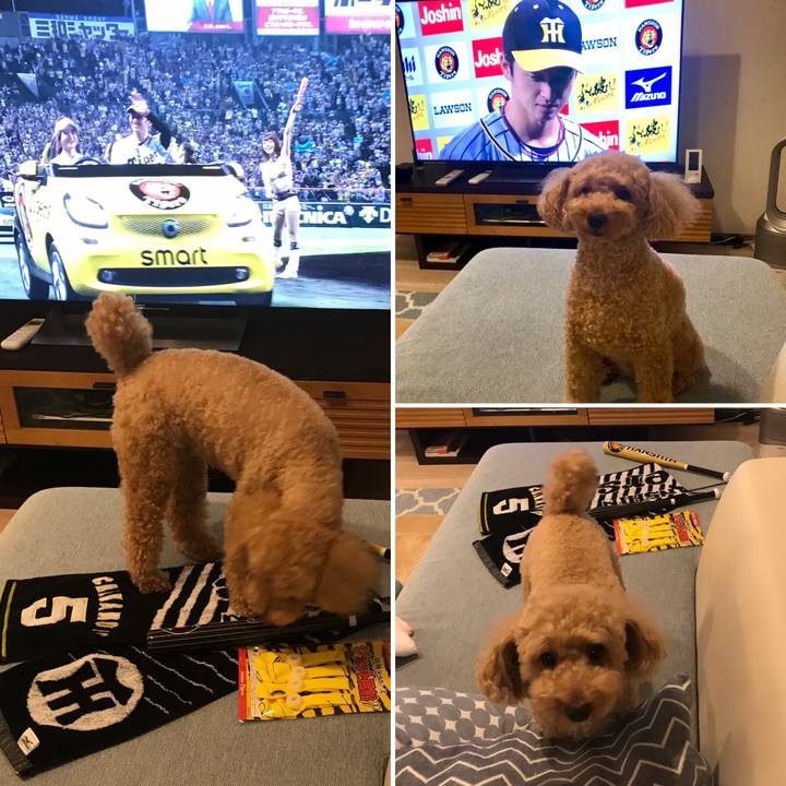 36166682 6a28 4a93 bd7b 40be03589d7d 1563626618200