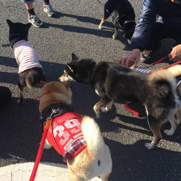 36168e09 22f1 4639 8454 9e6e3a9395fe 1575194717792