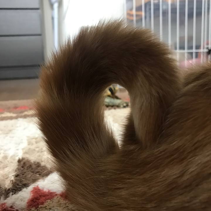 36168f37 6c45 4946 96a4 dbf628650d02 1523576881887