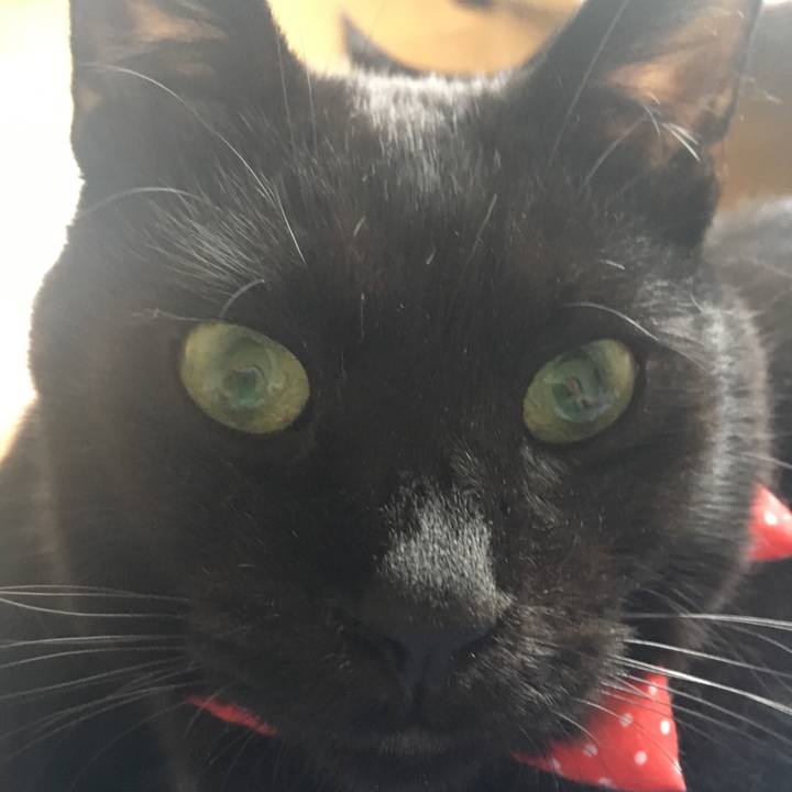 3617085a acf4 41dd 9b31 148d46a28f63 1536477984780